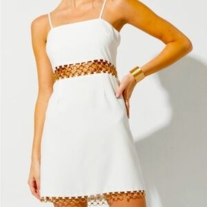 NWT Carey Chain Waist Gothic Mini Dress